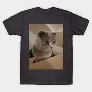 Emma The Cat T-Shirt